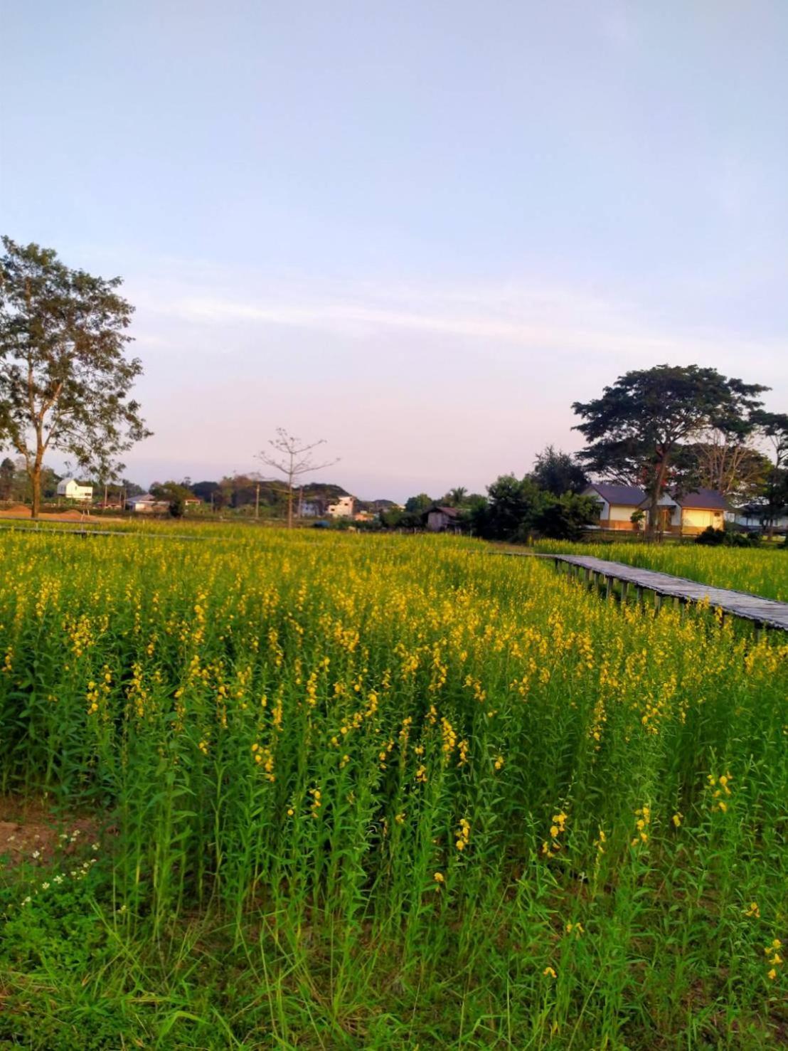 Sasidara Resort Нан Экстерьер фото